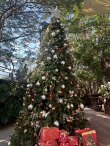 LINE_ALBUM_Premium Trees_260528_12