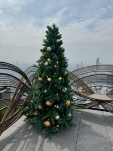 LINE_ALBUM_Premium Trees_260528_3