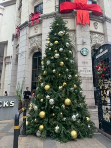 LINE_ALBUM_Premium Trees_260528_7