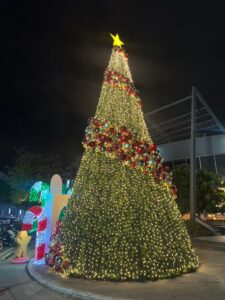 LINE_ALBUM_ผลงาน บางกอกคริสมัส 2024_260528_11