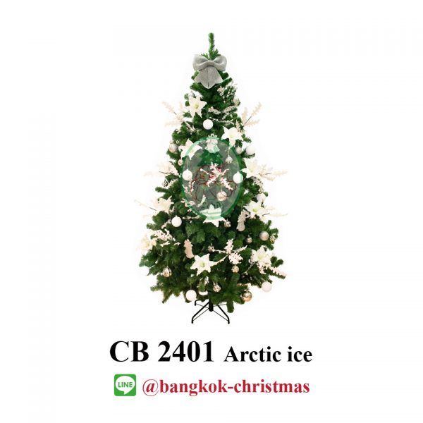 CB 2401 Arctic ice web